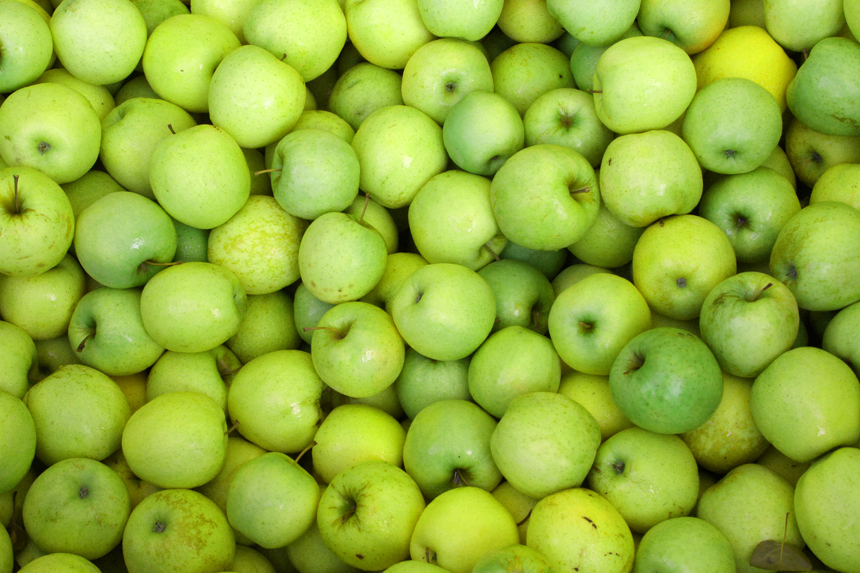 Goldstar odrůda jablek