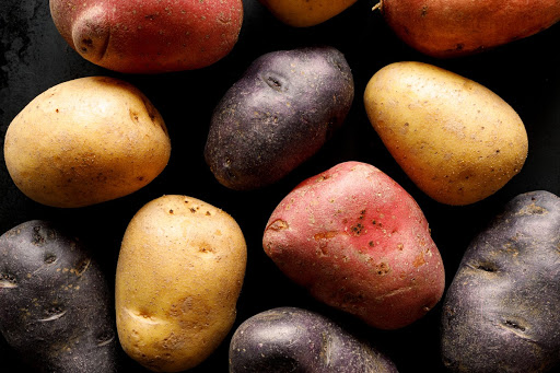 Různé odrůdy brambor od Campina, Rodriga, Princess, Pocahontas, Red Lady, Flavia atd.