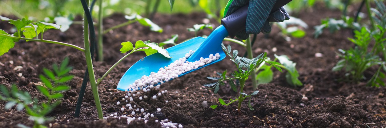 nejlepší hnojivo pro rostliny a zeleninu
