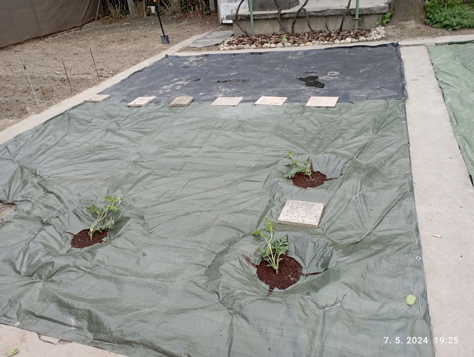 použití PVC plachty pod meloun