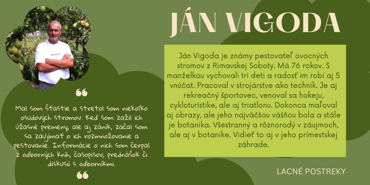 vizitka Jana Vigody