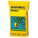 Barenbrug shadow