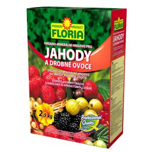 Floria jahody a jiné drobné ovoce