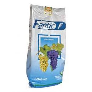 Fantic f