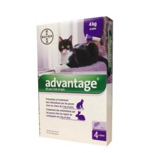 Advantage s.o. kočka a.u.v. od 4kg