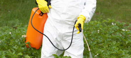 Těchto 11 biologických a chemických insekticidů hodnotíte jako nejlepší