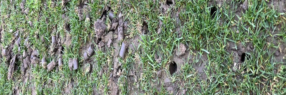 aerifikácia trávnika