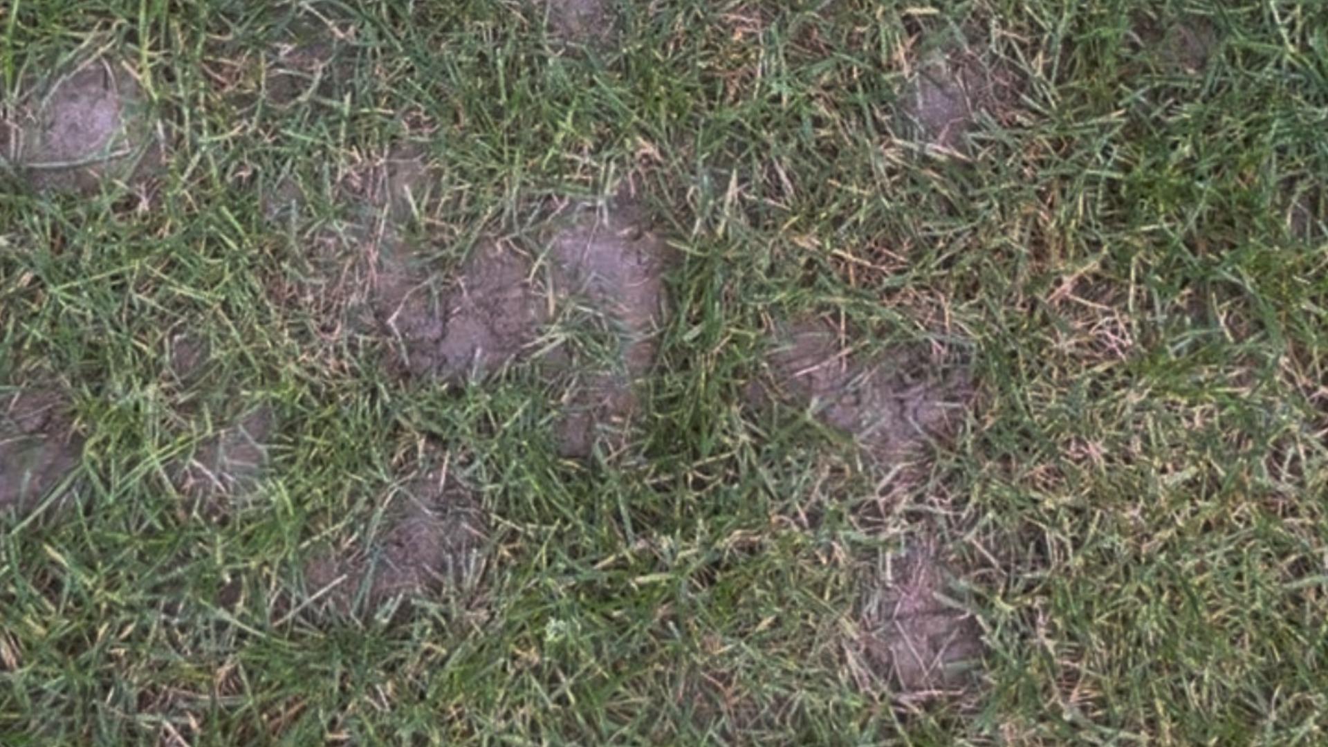 vyholene miesta v travniku