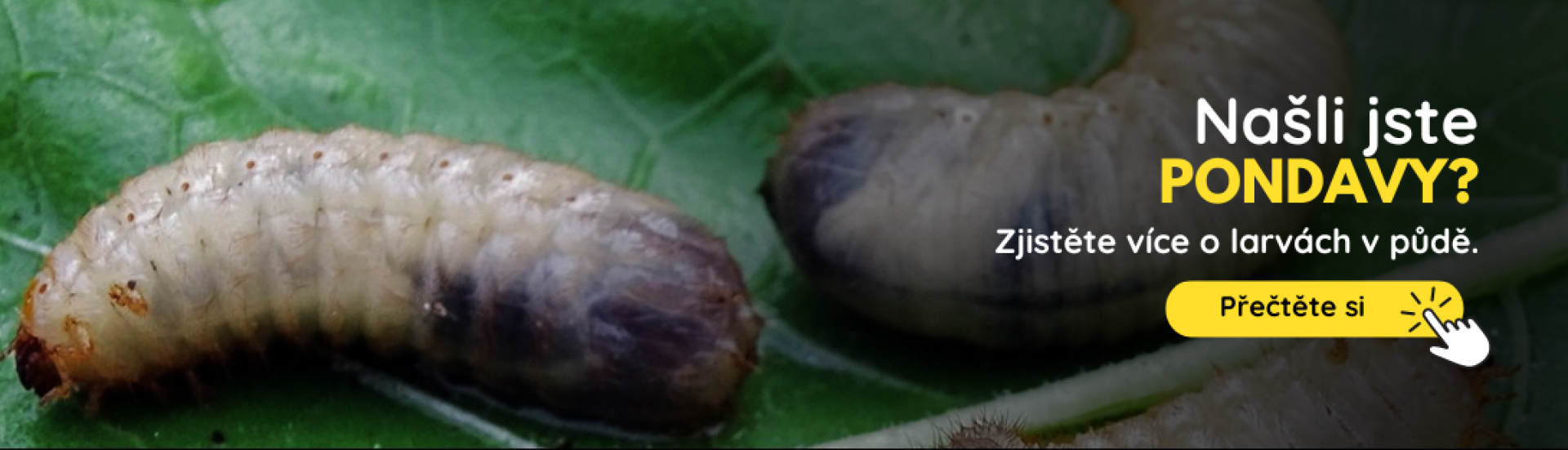 CZ Pandravy (3,4,5,6,7,8,9,10)