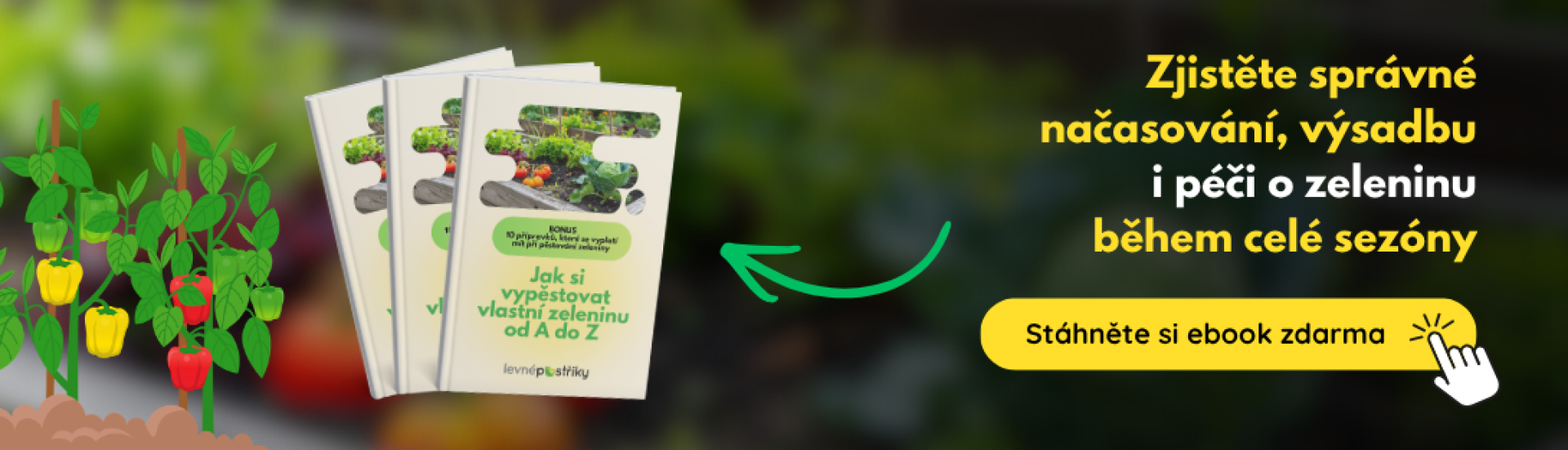 CZ banner zeleninovy e-book (4,5,6,8) CZ banner zeleninovy e-book (4,5,6,8)