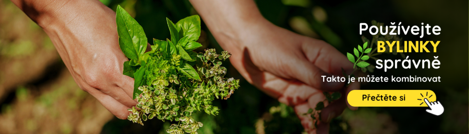 CZ Pestovanie byliniek (4,5,6,7,8,9)